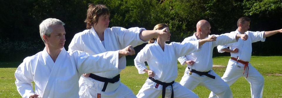 Calm partner training