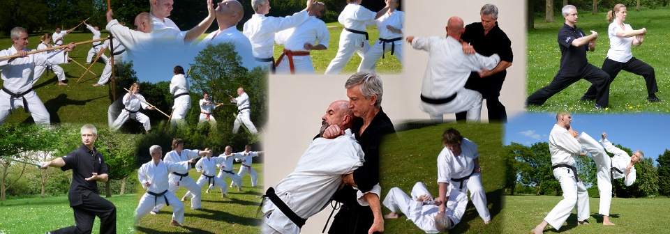 Mushin Karate and Tai Chi training